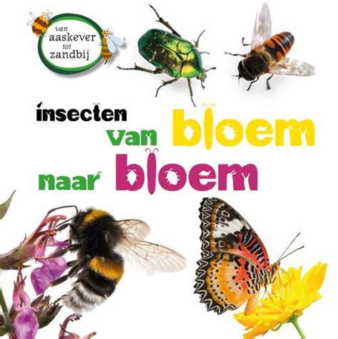 Insecten Van Bloem Tot Bloem Sarah Ridley Boek 9789464392883 Bruna