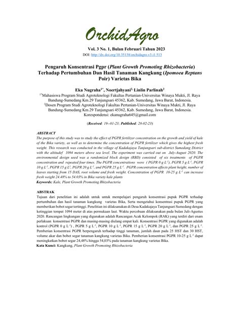 PDF Pengaruh Konsentrasi Pgpr Plant Growth Promoting Rhizobacteria