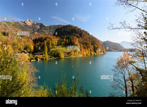 Sankt Gilgen Brunnwinkl Bay And Mount Schafberg At Lake Wolfgangsee