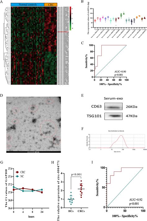 Frontiers Identification Of Serum Exosomal Hsa Circ As A