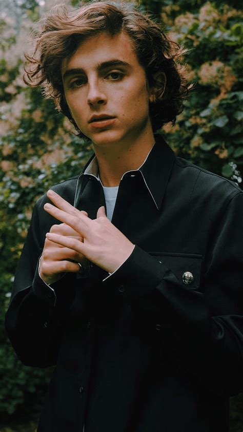 Timothee Chalamet Aesthetic Wallpaper