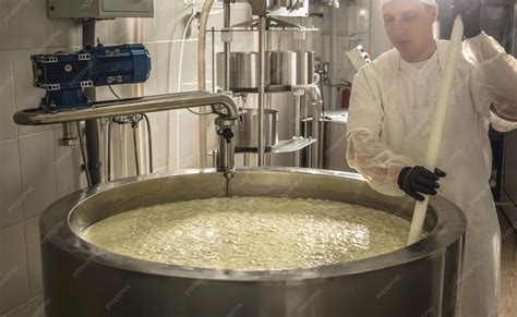 premium photo process  producing  varieties  cheese