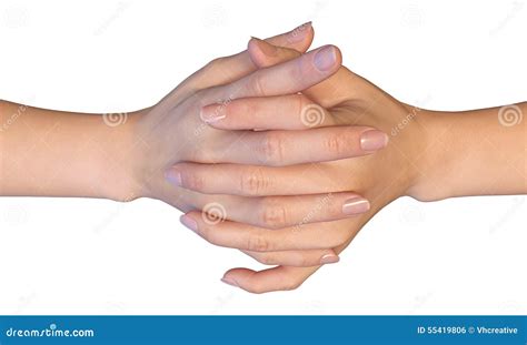 Interlaced Fingers Of A Woman Stock Photo Image Of Gestures Girls