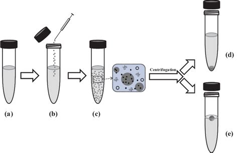 Representation Of The Dispersive Liquid Liquid Microextraction