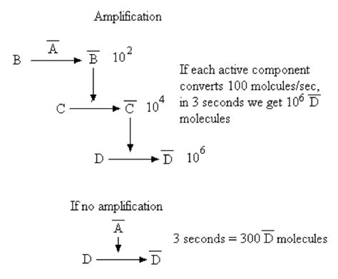 Complete Cascade Flashcards Quizlet