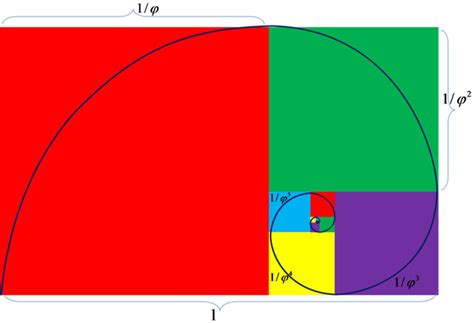 Golden Ratio Spiral Picture - Free Math Photos & Images