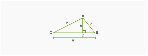 What is Acute Triangle? - Definition, Facts & Example