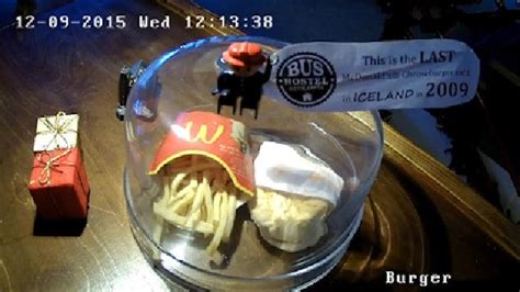 Last Mcdonald S Cheeseburger In Iceland Preserved For Six Years Metro