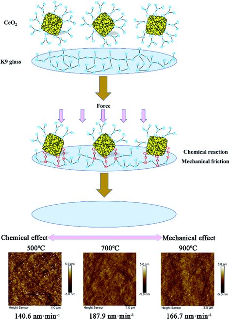 Schematics illustrating the chemical and mechanical polishing effect... | Download Scientific ...