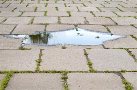 Underground Water Leaks In South Florida Signs And Symptoms Cape