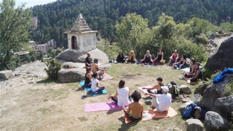 Yoga Retreat Dharamsala India - Best Yoga Meditation Retreat in Himalaya