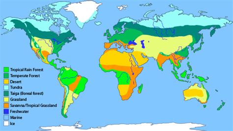 How Many Biomes Are There Example