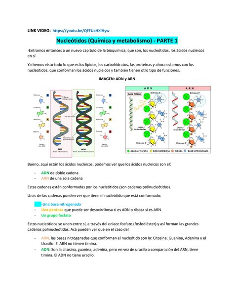 SOLUTION 3 B Parte 1 Nucleotidos Quimica Y Metabolismo Studypool