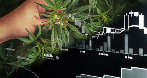 Best Marijuana Stocks For March 2021? 2 Cannabis Stocks That Could See ...