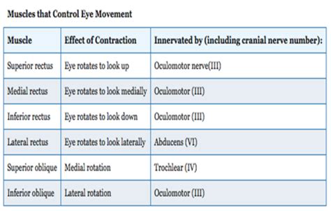 Ocular Conditions Flashcards Quizlet