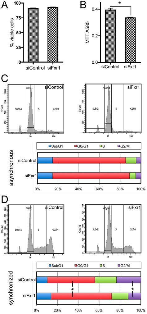 Fxr1 Depletion Does Not Impair Myoblasts Viability But Specifically