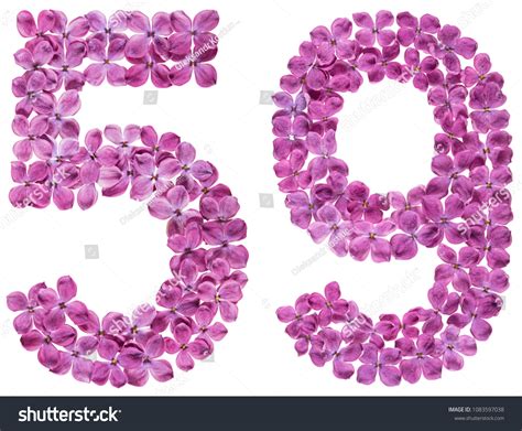 Arabic Numeral Fifty Nine Flowers Stock Photo Shutterstock