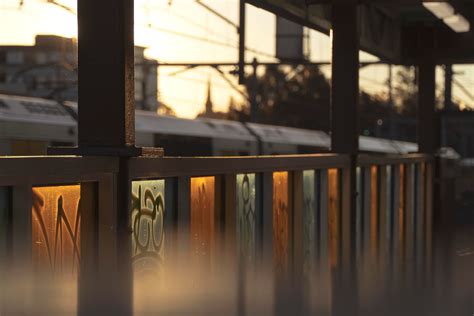 Lewisham Train Station this afternoon. : r/sydney