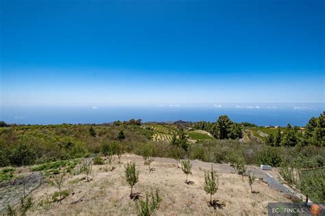 Neu Casa Media Pipa In Puntagorda Eco Fincas La Palma