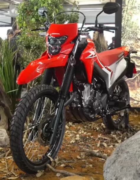 Honda Xr300l Tornado Presentada Oficialmente En Brasil La Revista De