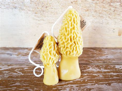 Morel Mushroom Set 100 Beeswax Candle Etsy