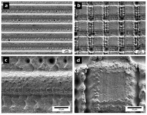 Materials | Special Issue : Bioinspired and Biomimetic Materials