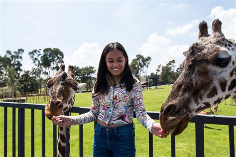 El Parque Zacango Te Invita A Vivir Una Experiencia Incre Ble