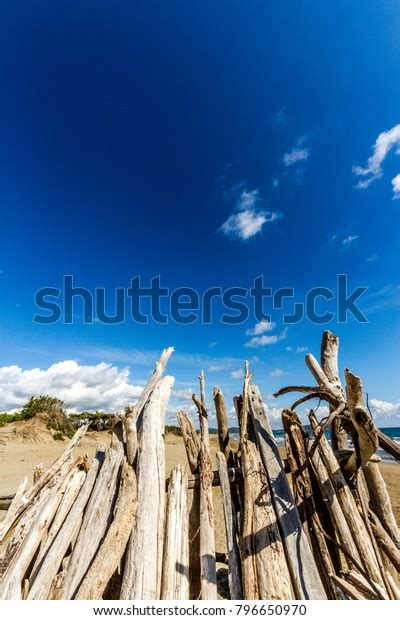 Feniglia Beach Tuscany Stock Photo Shutterstock