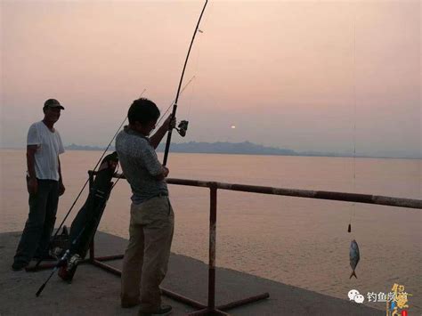 钓鱼操竿，这四个动作千万不能做！中国钓鱼人网