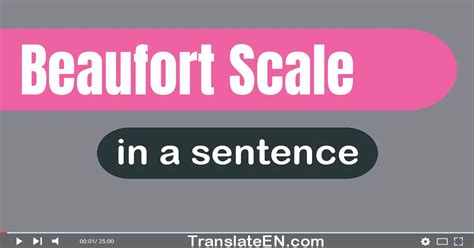 Use "Beaufort Scale" In A Sentence