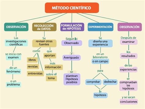 El M Todo Cient Fico Desde La Curiosidad Infantil Metodo Cientifico