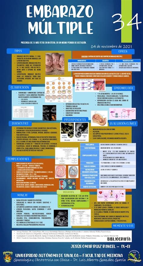 Infograf A Embarazo M Ltiple Trabajo Individual