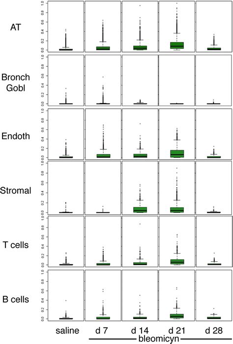 Multidrug Transporter P Gp Levels During Bleomycin Treatment In