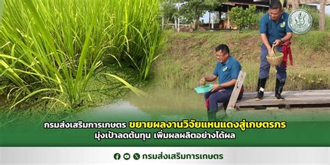 กรมส่งเสริมการเกษตร ขยายผลงานวิจัยแหนแดงสู่เกษตรกร มุ่งเป้าลดต้นทุน