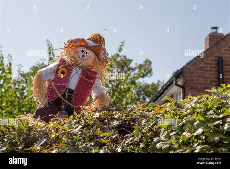 Vogelscheuchen In Hecke Fotos Und Bildmaterial In Hoher Aufl Sung Alamy