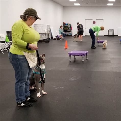 Dog Training Programs at Success Just Clicks Dog Training
