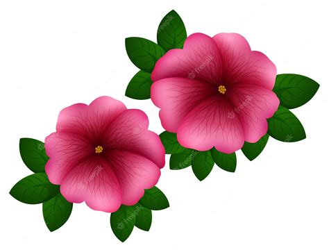 Petunia Illustrations Royalty Free Vector Graphics Clip