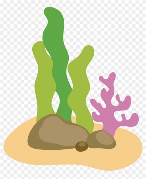 Euclidean Vector Algae Edible Seaweed Cartoon Seaweed Png Free