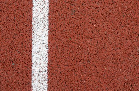 Material Gelatinoso Que Preenche O Interior Da Célula