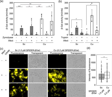 An Xfect Based Protein Transfection Method Can Introduce Download