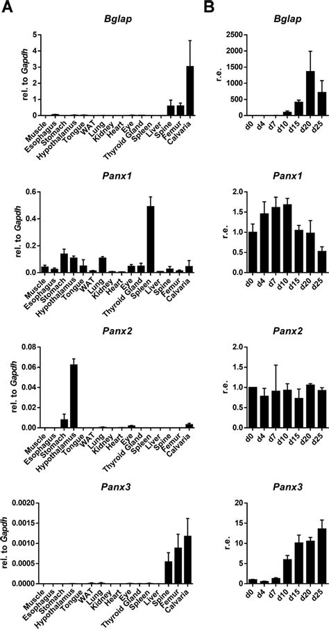 Extended Expression Pattern For Panx Genes A Qrt Pcr Expression