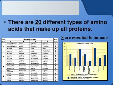 Ppt Proteins Powerpoint Presentation Free Download Id9586836