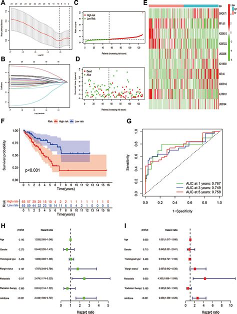 Identification And Validation Of Pyroptosis Related Lncrna Ijgm