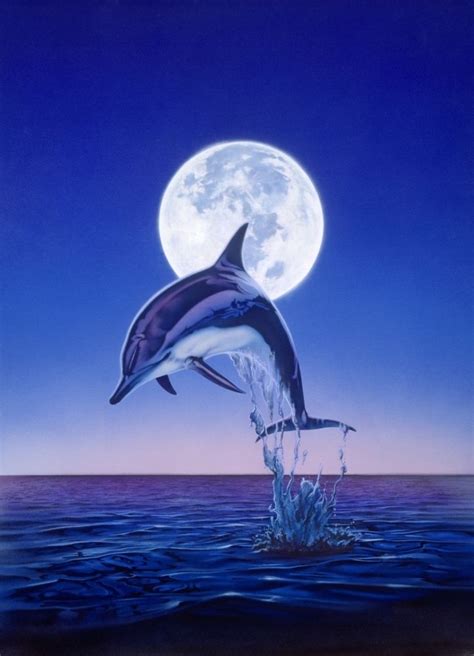 Moonlight Dolphin Poster Print By Robin Koni Item Varmgl X