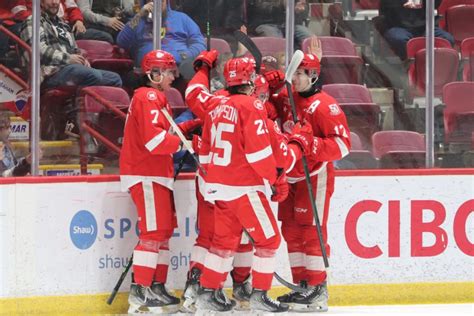 Greyhounds Find Confidence In Convincing Win At Home Video 11 Photos