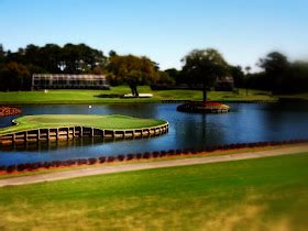 The World of Deej: The 17th Hole at TPC Sawgrass - Picture of the Week