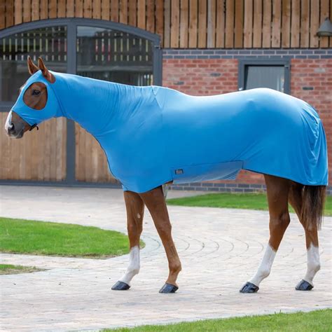 Shires Combo Stretch Rug Blue