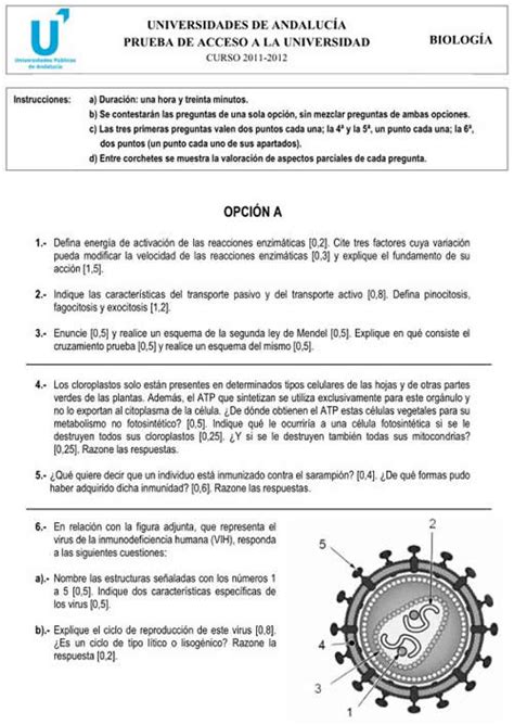 Gu A Completa Para Preparar Los Ex Menes De Selectividad De Biolog A En