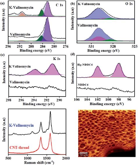 XPS Spectra Of A C 1s B O 1s And C K 2p In The Valinomycin