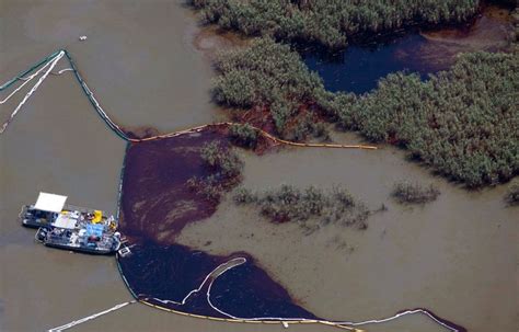 Daño ambiental provocado por este Derrame de petróleo luego de las